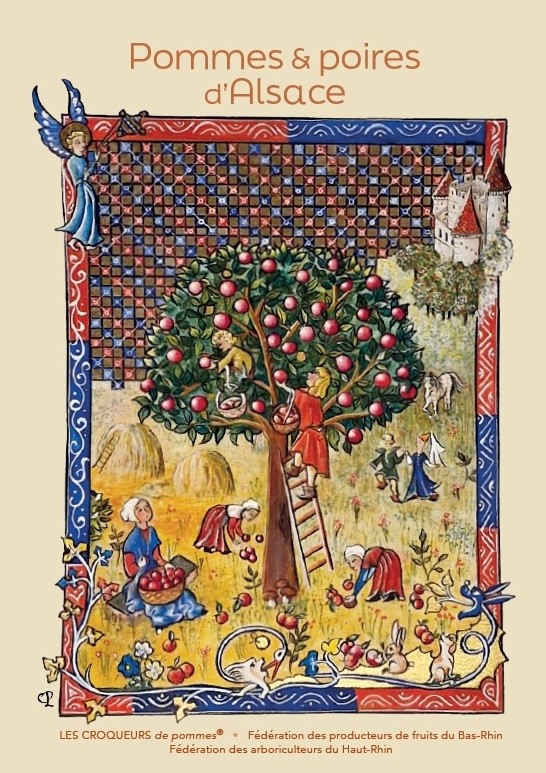 cahier d'Alsace 2025